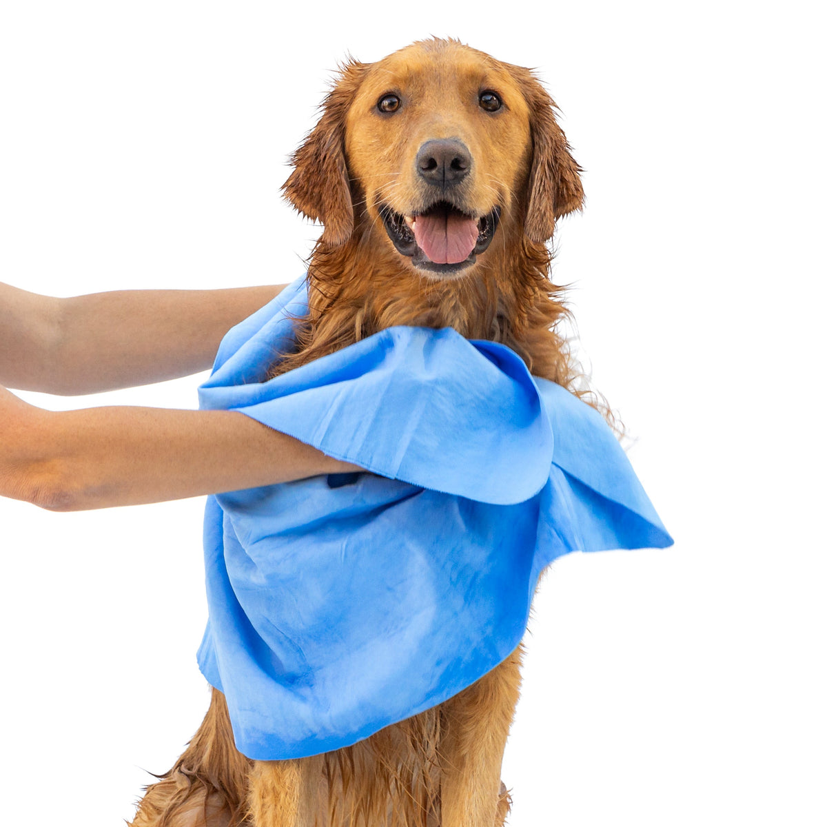 Blue Rubyloo shammy towel being used to dry a dog; pack quantity selected separately