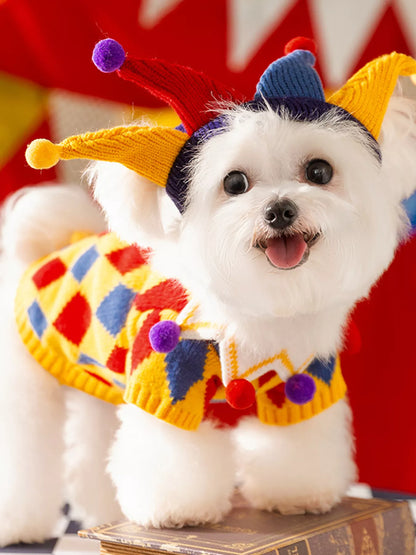 Small white dog wearing a yellow diamond-pattern pet sweater with a colorful pointed hat.