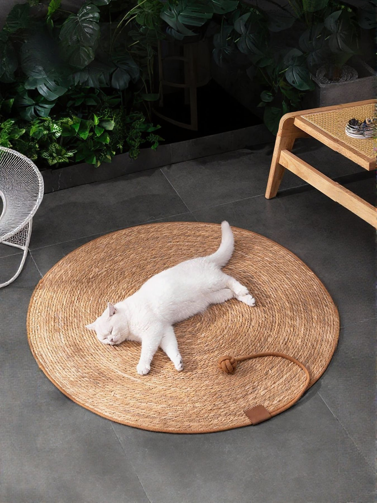 White cat stretched out on a round natural braided pet mat, with a chair and fan shown as styling props.