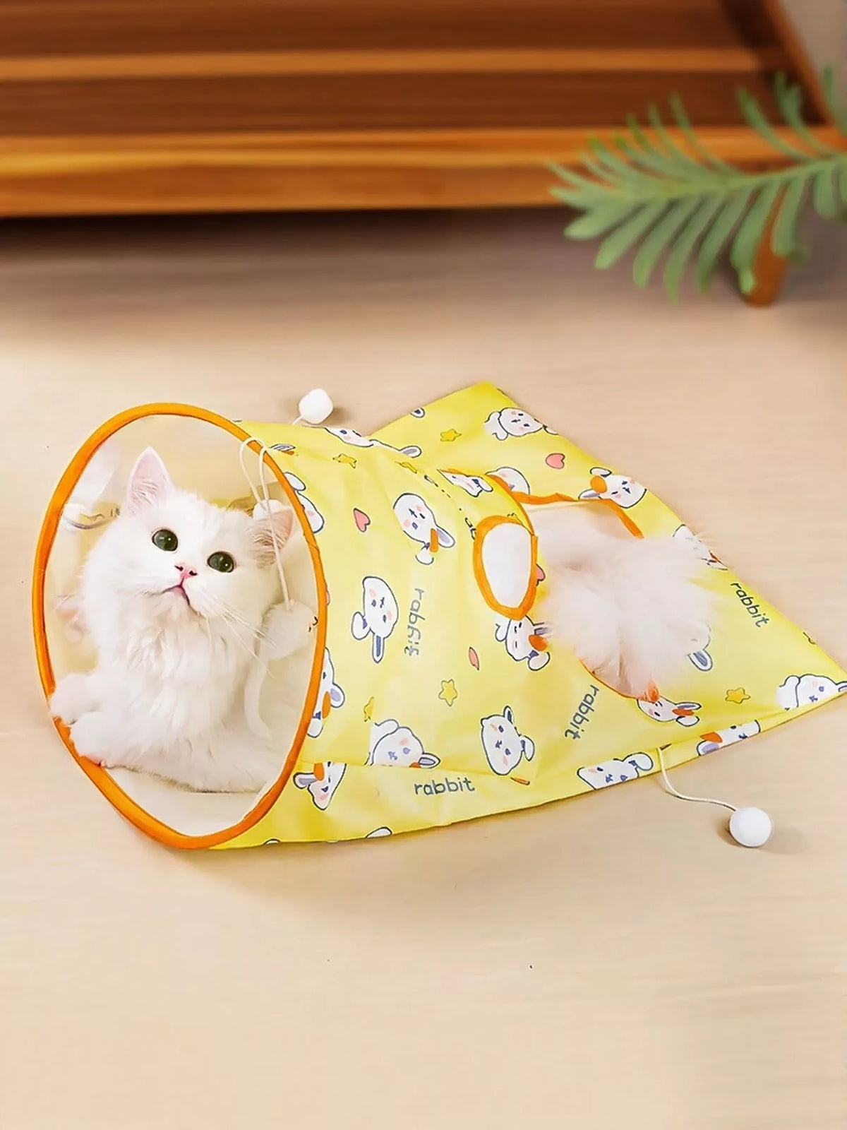 Cat at the entrance of the yellow Rabbit Pattern cat tunnel