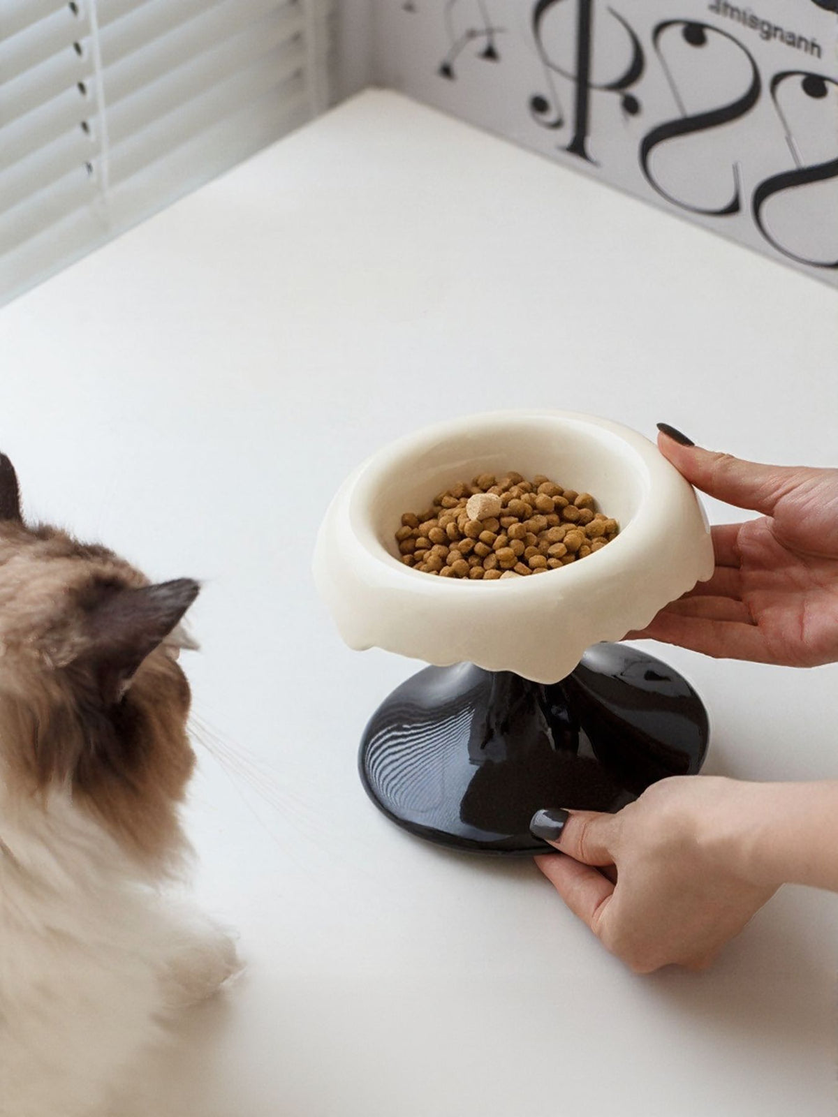 White-and-black elevated bowl held beside a cat.