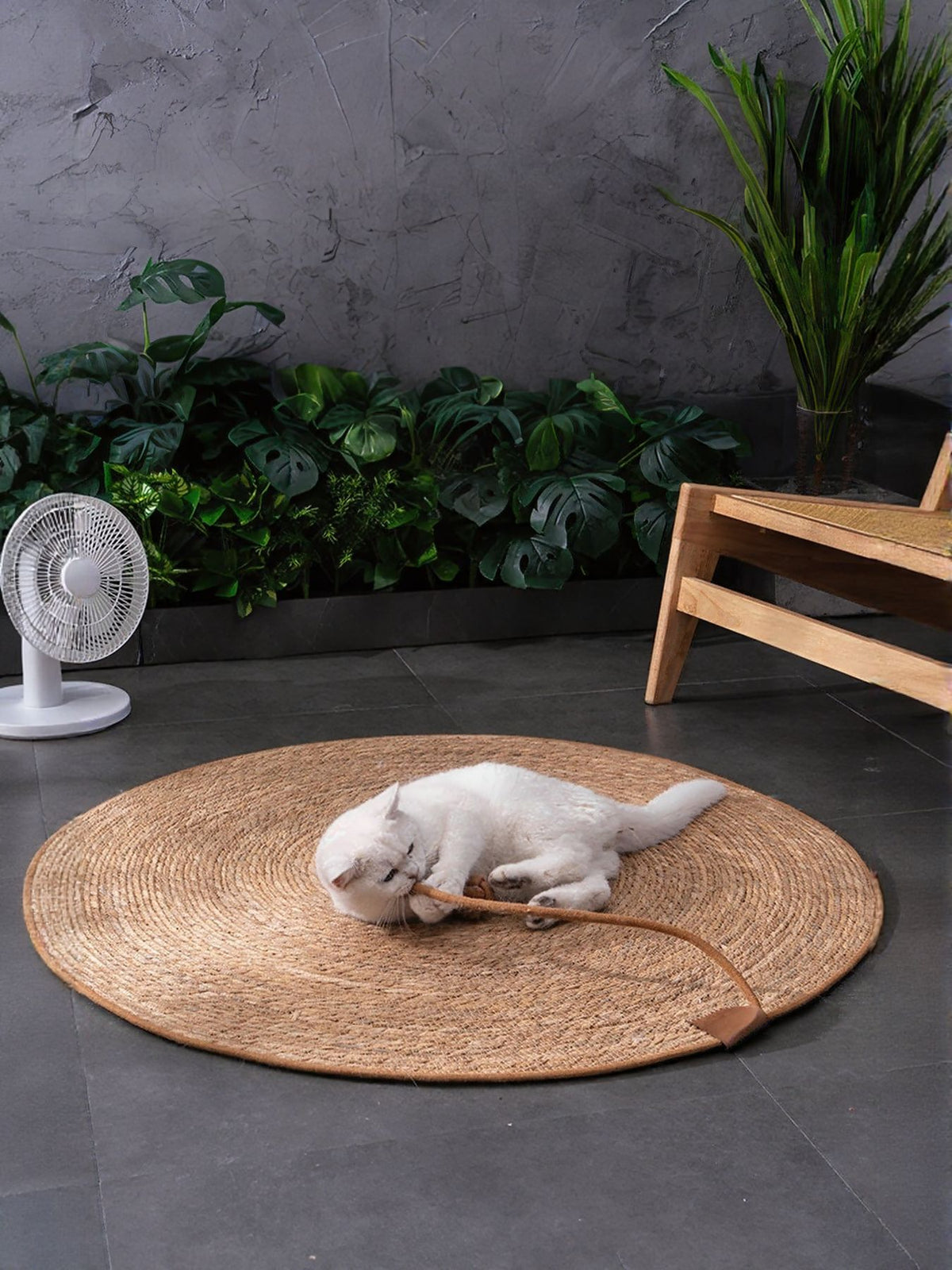 White cat resting on a round braided mat beside a rope-and-ball detail.