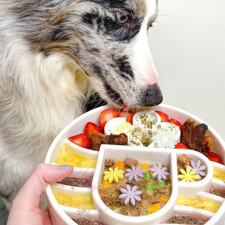 Dog using Java eBowl with example food; dog and food are not included