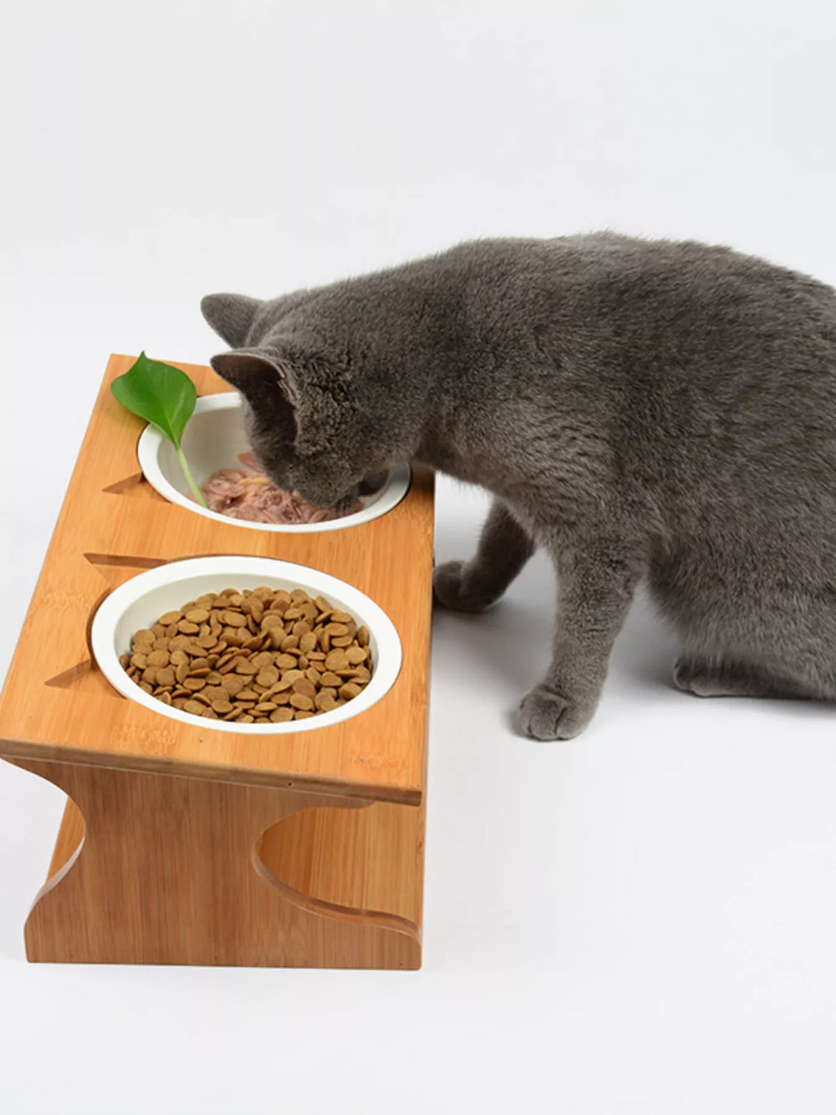 Two white ceramic pet bowls in a raised wooden stand, shown with a gray cat and food for illustration.