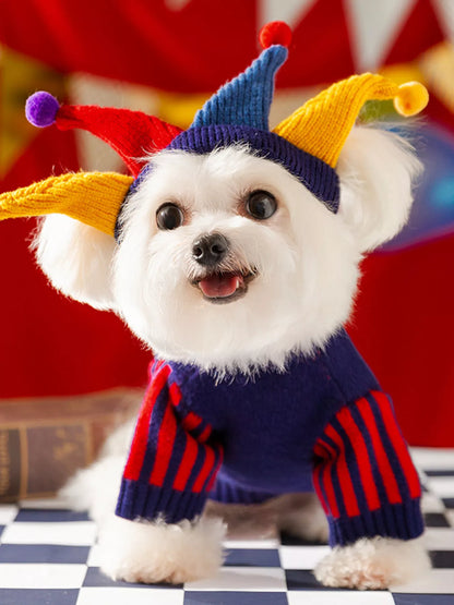 Small white dog wearing a navy pet sweater with red striped sleeves and a colorful pointed hat.