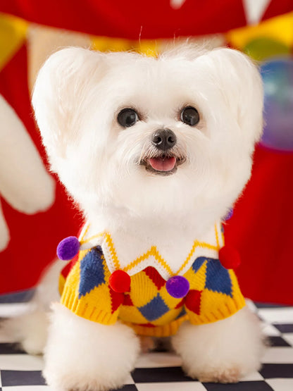Small white dog wearing a yellow diamond-pattern pet sweater.