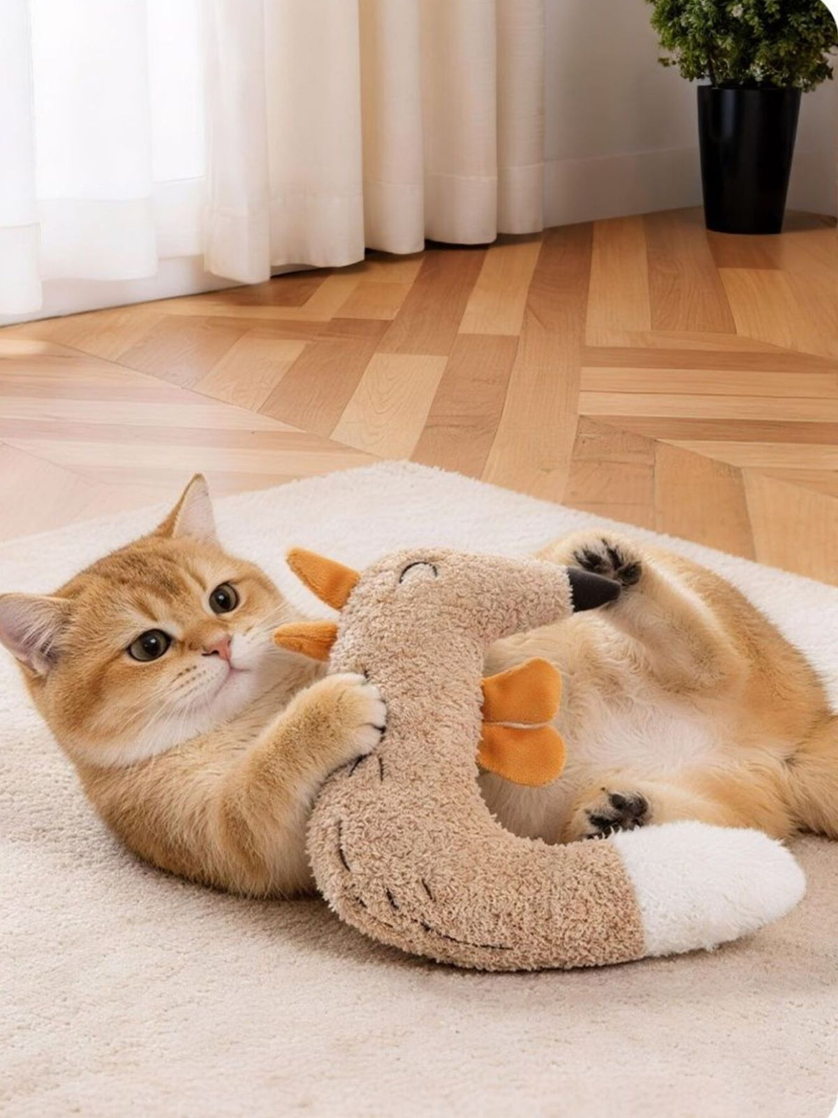 Cat holding the fox-design plush toy
