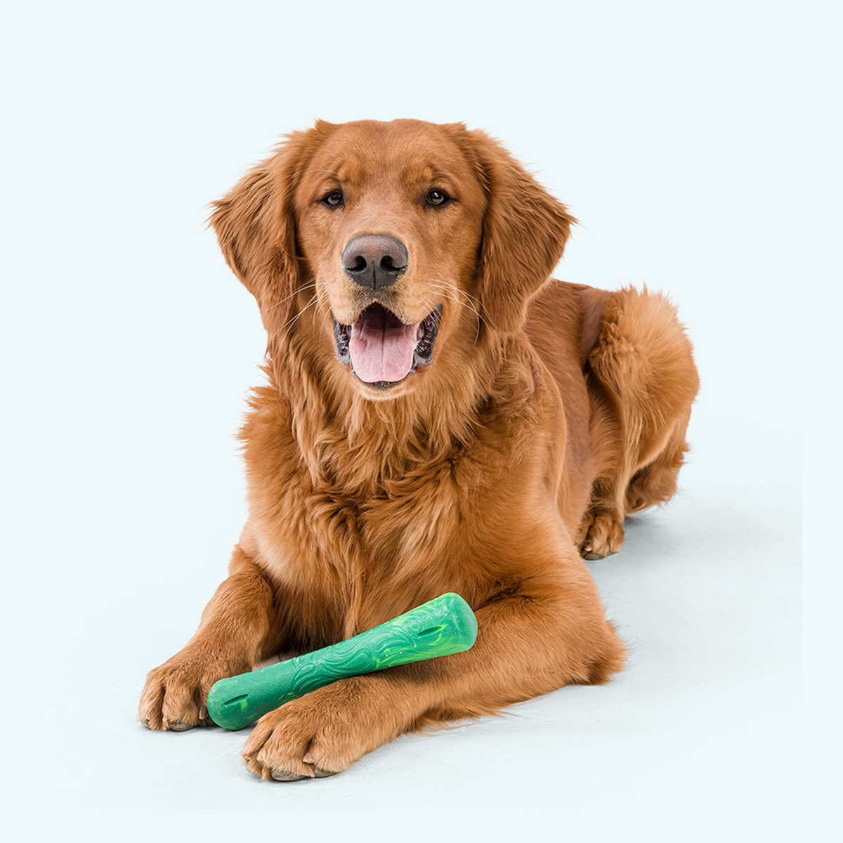Dog beside an Emerald West Paw Drifty; pet shown for demonstration only.