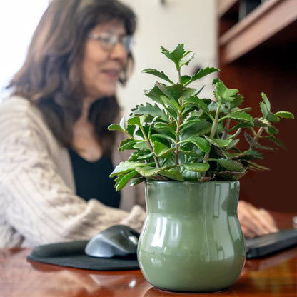 Forest Green ceramic planter styled on an office desk; plant and other props are not included.