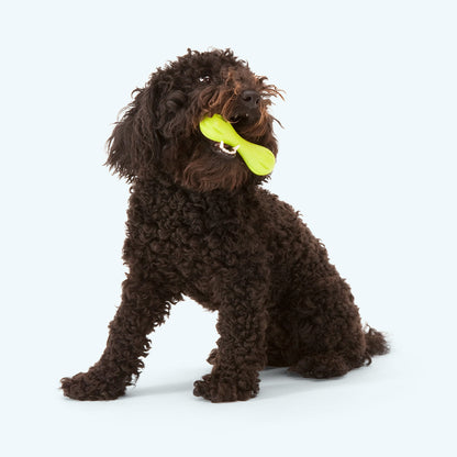 Dog holding a Granny Smith Hurley toy; dog is not included.