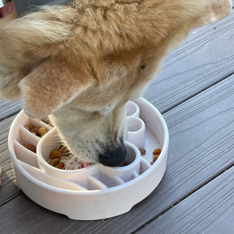 Dog eating from Java eBowl on a deck; food and dog not included