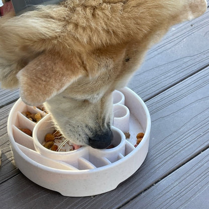 Dog eating from Java eBowl on a deck; food and dog not included