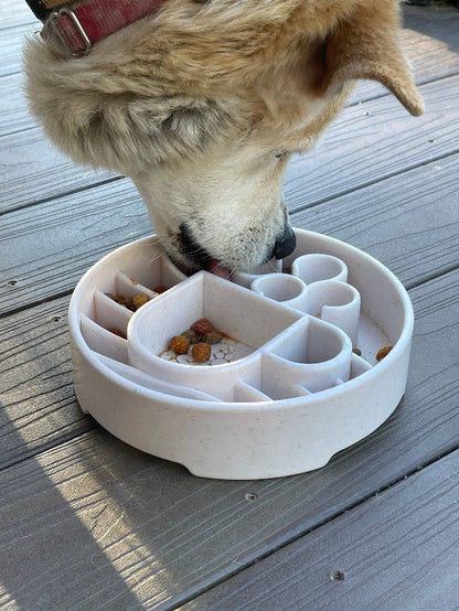 Overhead view of dog using Java eBowl; food and dog not included