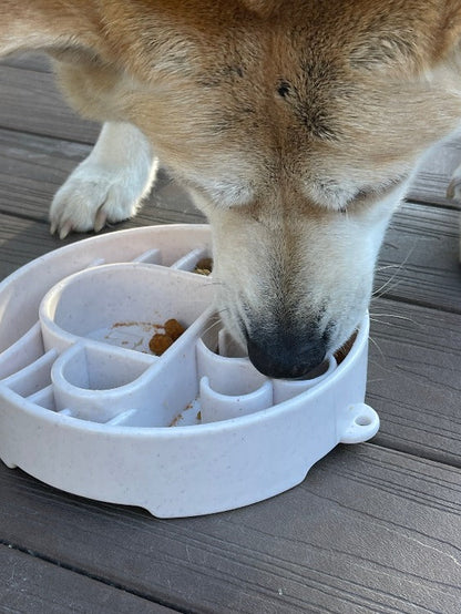 Dog using maze compartments of Java eBowl; food and dog not included