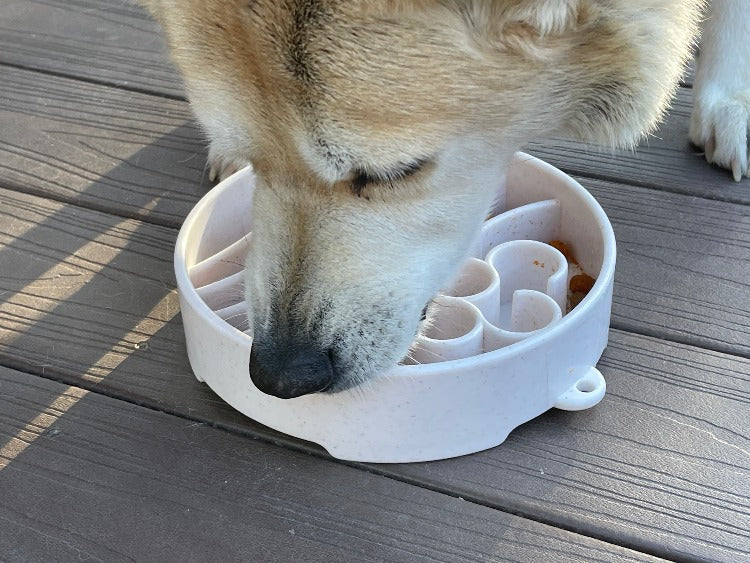 Side view of Java eBowl during use; food and dog not included