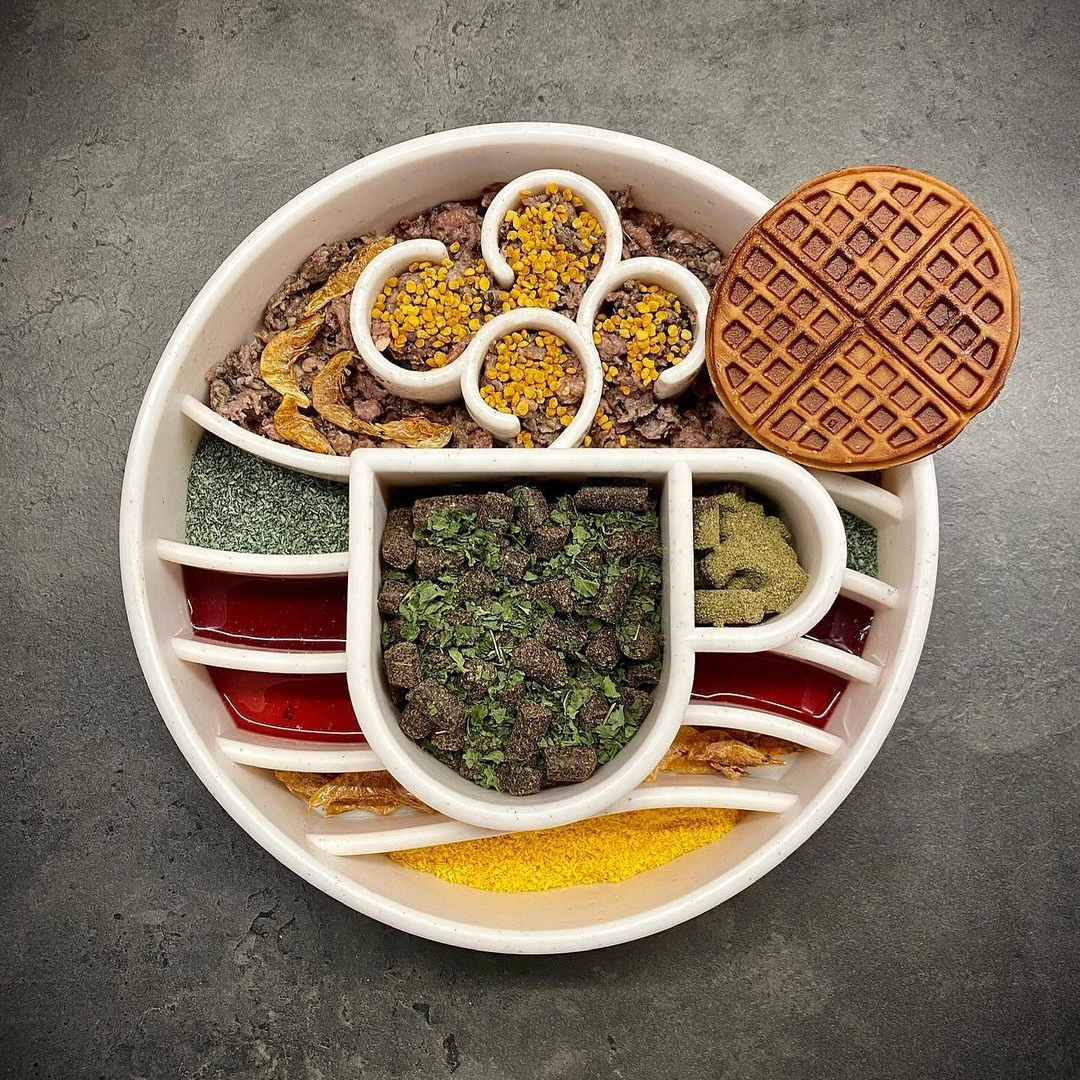 Java eBowl styled with pet food; food and round accessory are not included