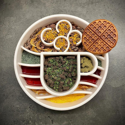 Java eBowl styled with pet food; food and round accessory are not included