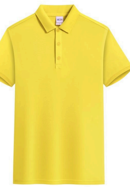 Solid Polo Shirt — Style TS198
