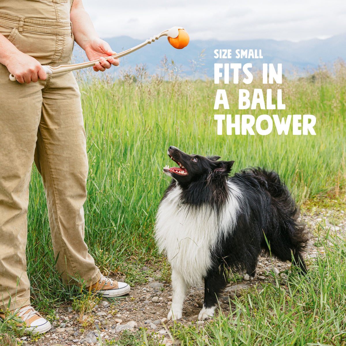 Small Jive demonstrated with a ball thrower; person, dog and thrower are not included. Fit shown applies to Small only.