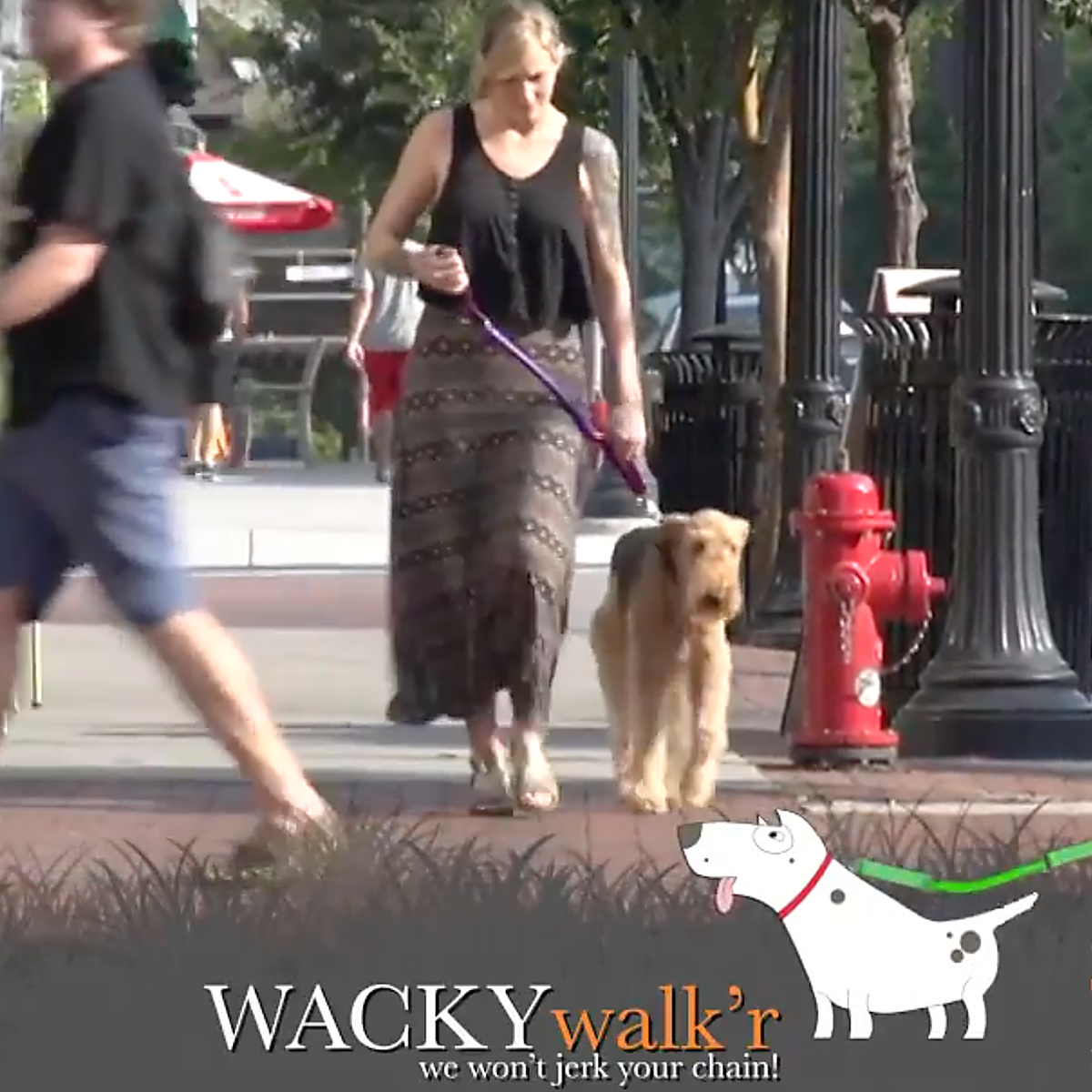 Urban Walk'r Short Stretch Dog Leash