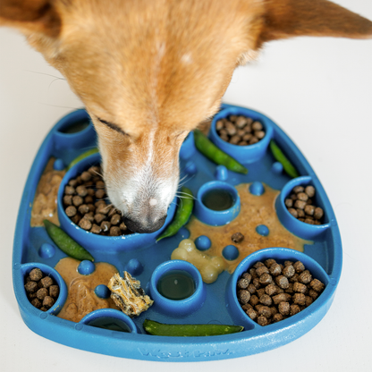 Dog eating from a Marine Bubbles Feast Mat; food and dog are not included.