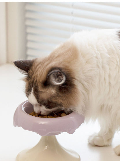 Cat eating from a lavender-and-white elevated bowl.