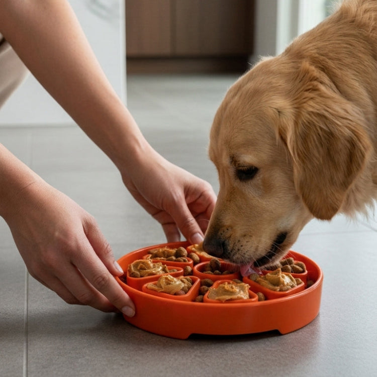 Dog eating example food from an Orange Citrus Softie eTray with a person nearby; one tray only.