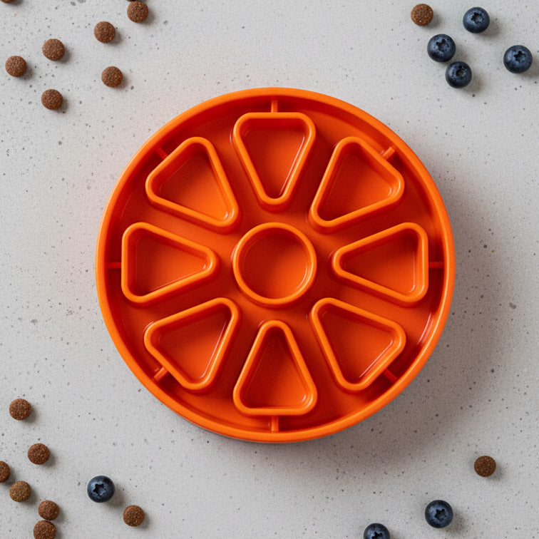 Empty Orange Citrus Softie eTray on a light surface with scattered example food; one tray only.