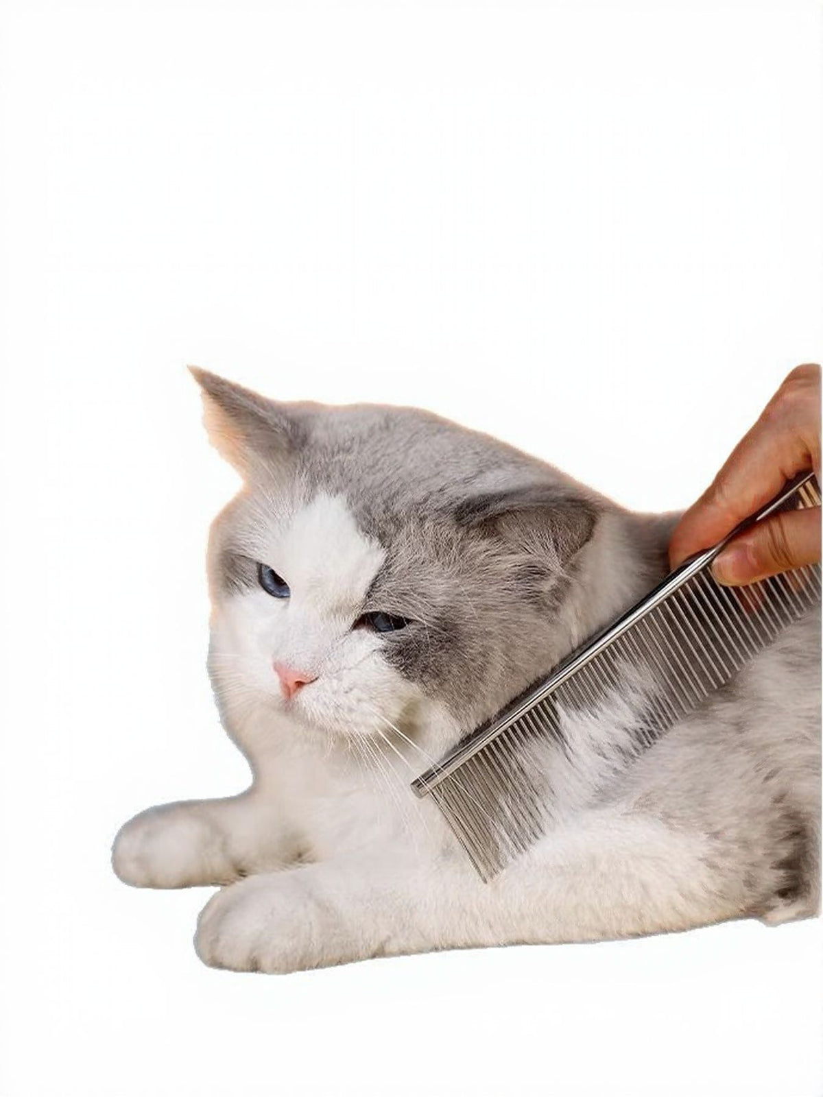 Stainless-steel grooming comb beside a white-and-gray cat.
