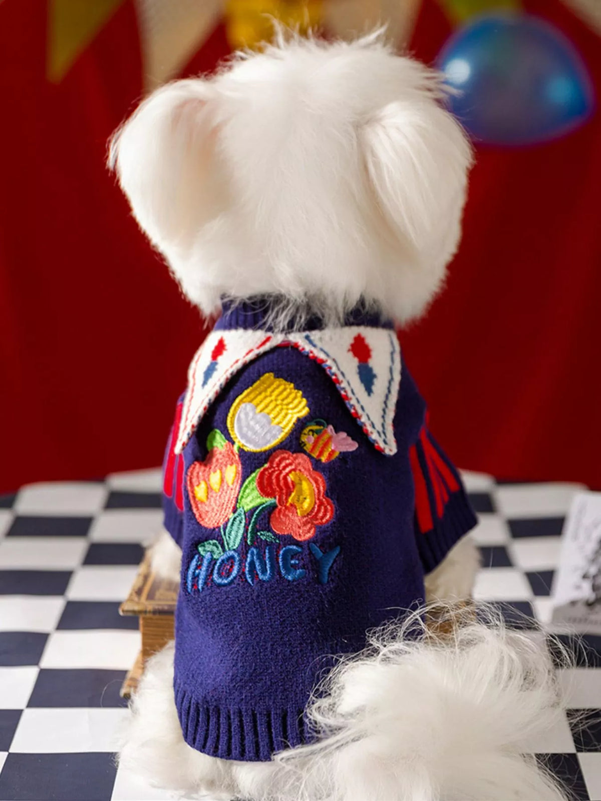 Rear view of a small white dog wearing a navy fruit-design pet sweater.