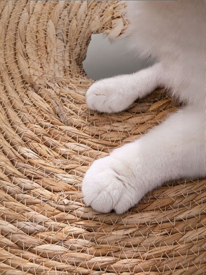 Close-up of the pet mat’s braided plant-fiber surface beside white cat paws.