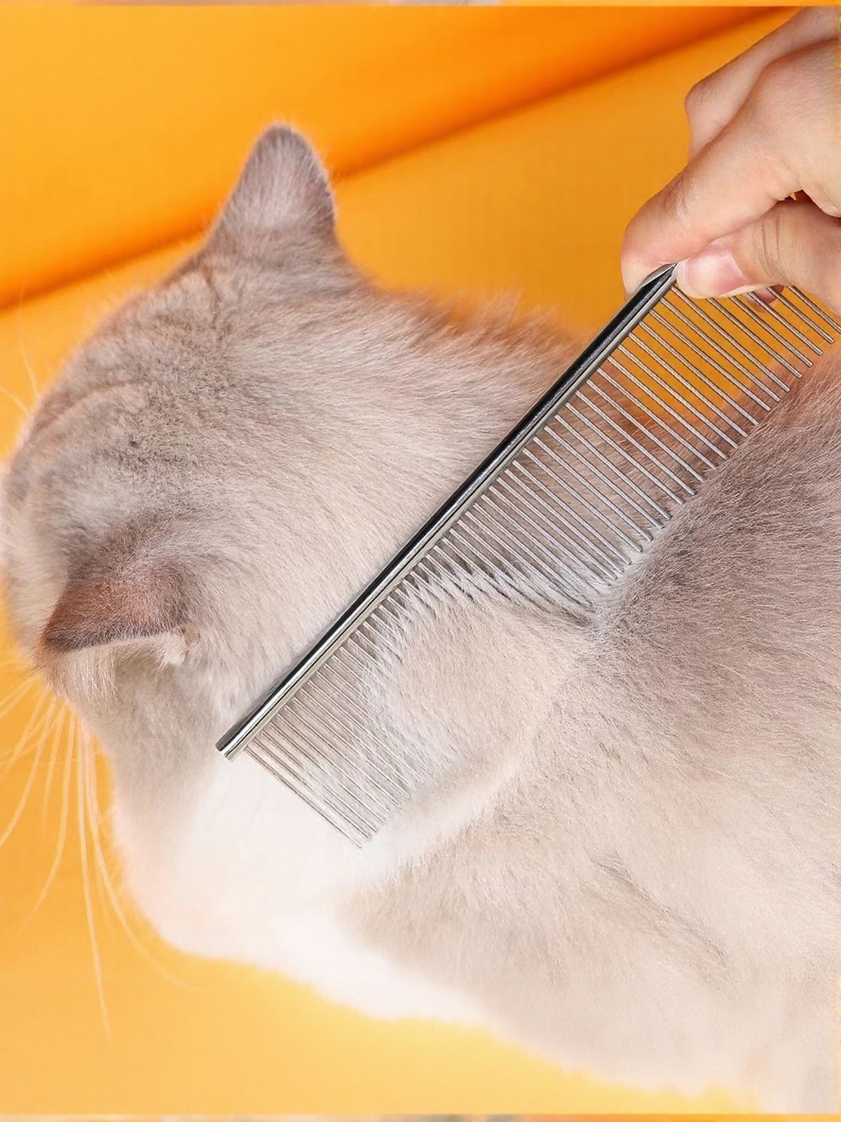 Stainless-steel grooming comb used gently on a cat; cat shown for illustration.