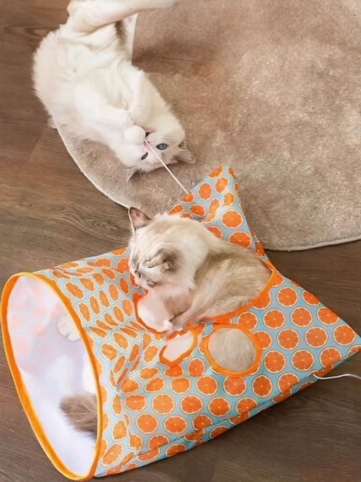 Two cats interacting with an orange circle-print collapsible tunnel.