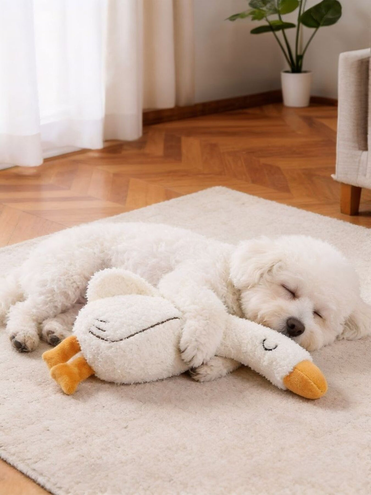 Dog lying beside the duck-design plush toy