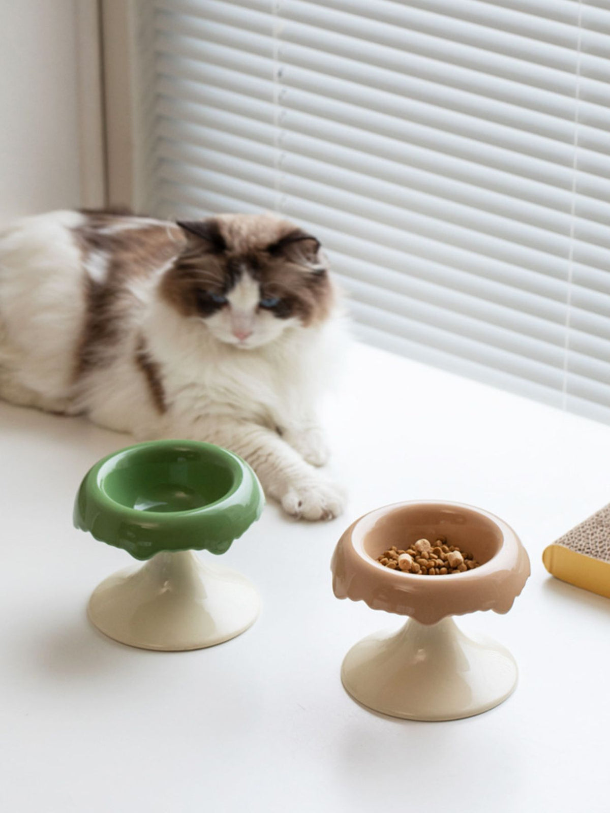 Green-and-white and camel-and-white elevated pet bowls shown beside a cat.