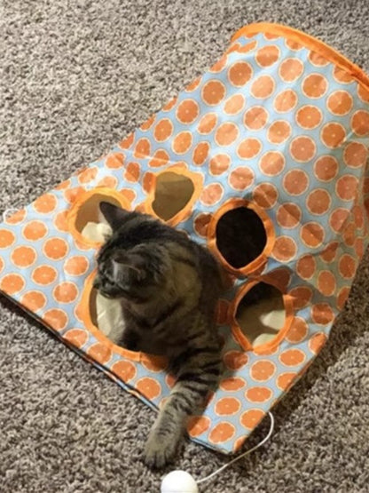 Cat reaching through an opening in an orange circle-print tunnel.