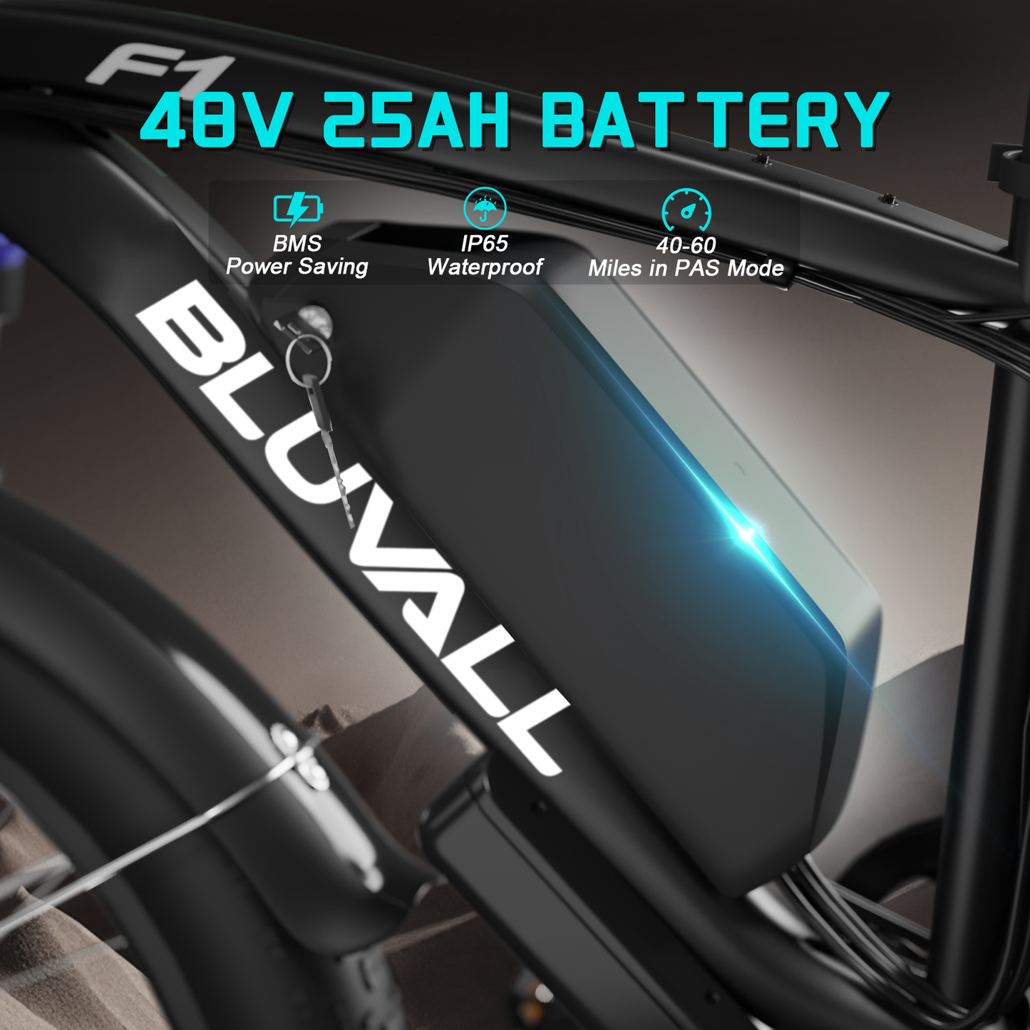 F1 48V 25Ah battery detail